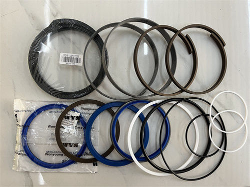 OEM 2440-9238KT Boom Cylinder Seal Kit PU Rubber For DOOSAN S290LC-5 DH300-7