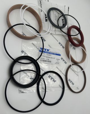 WYS Original Parts LS160F2 High Quality Excavator Repair Parts Boom Seal Kit For CATERPILLAR KOMATSU HYUNDAI HITACHI